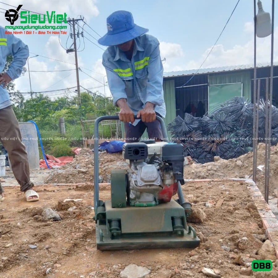 Thuê Ngày Máy đầm bàn DB8 75-100Kg (Xăng)