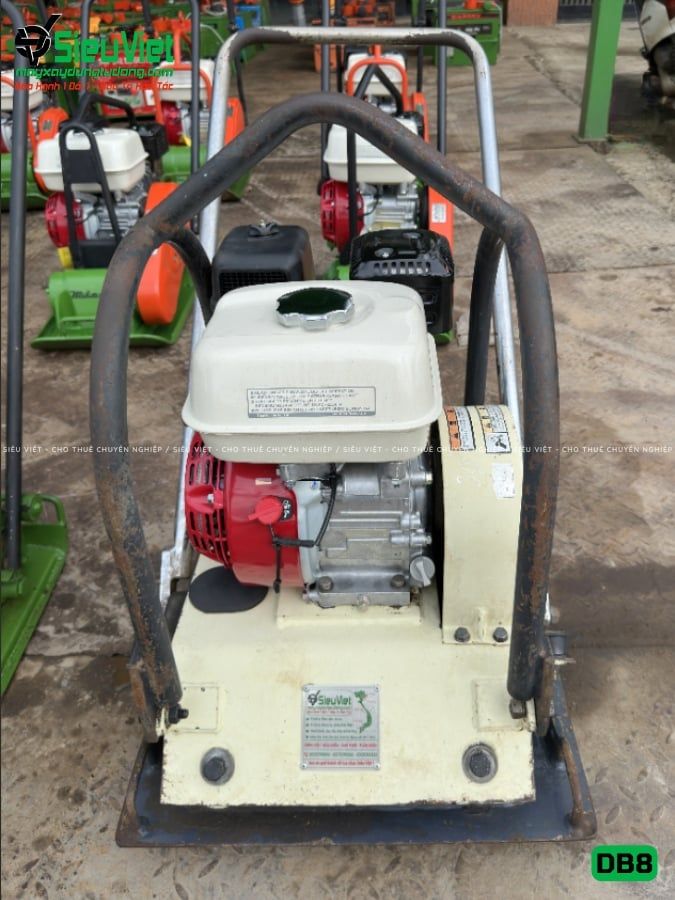 Thuê Tháng Máy đầm bàn DB8 75-100Kg (Xăng)