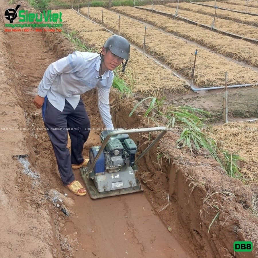 Thuê Tháng Máy đầm bàn DB8 75-100Kg (Xăng)