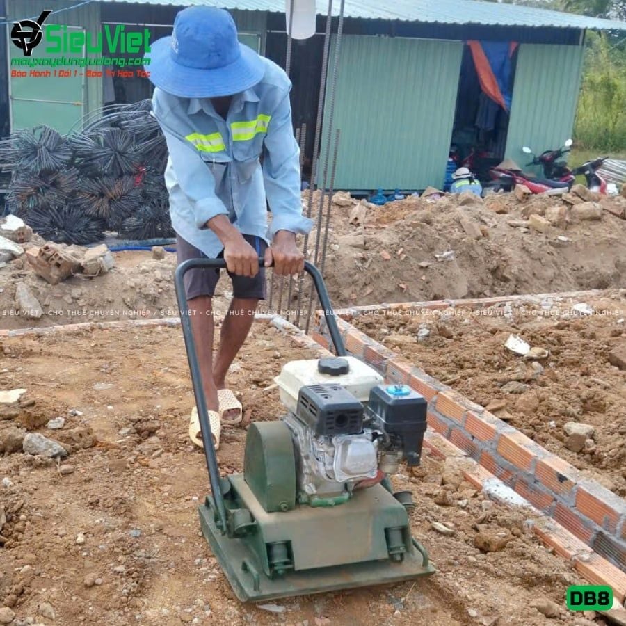 Thuê Tháng Máy đầm bàn DB8 75-100Kg (Xăng)
