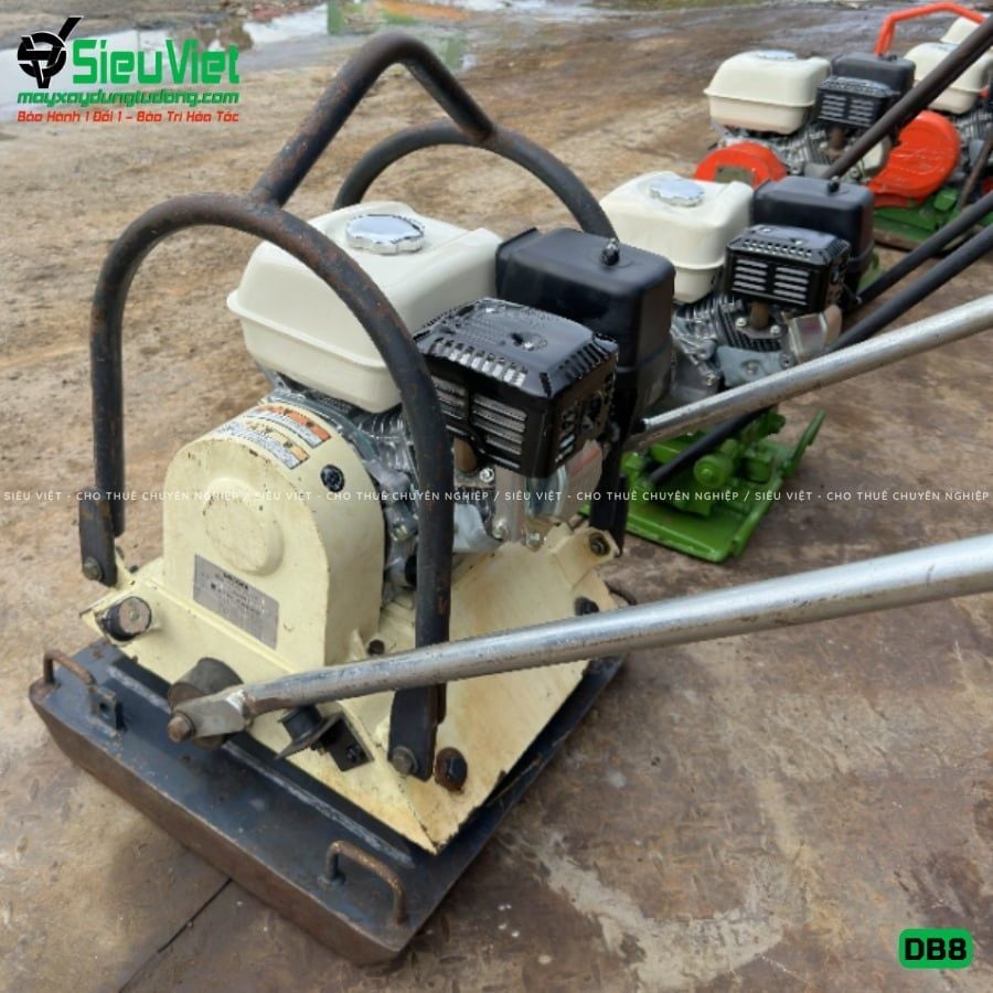 Thuê Tháng Máy đầm bàn DB8 75-100Kg (Xăng)