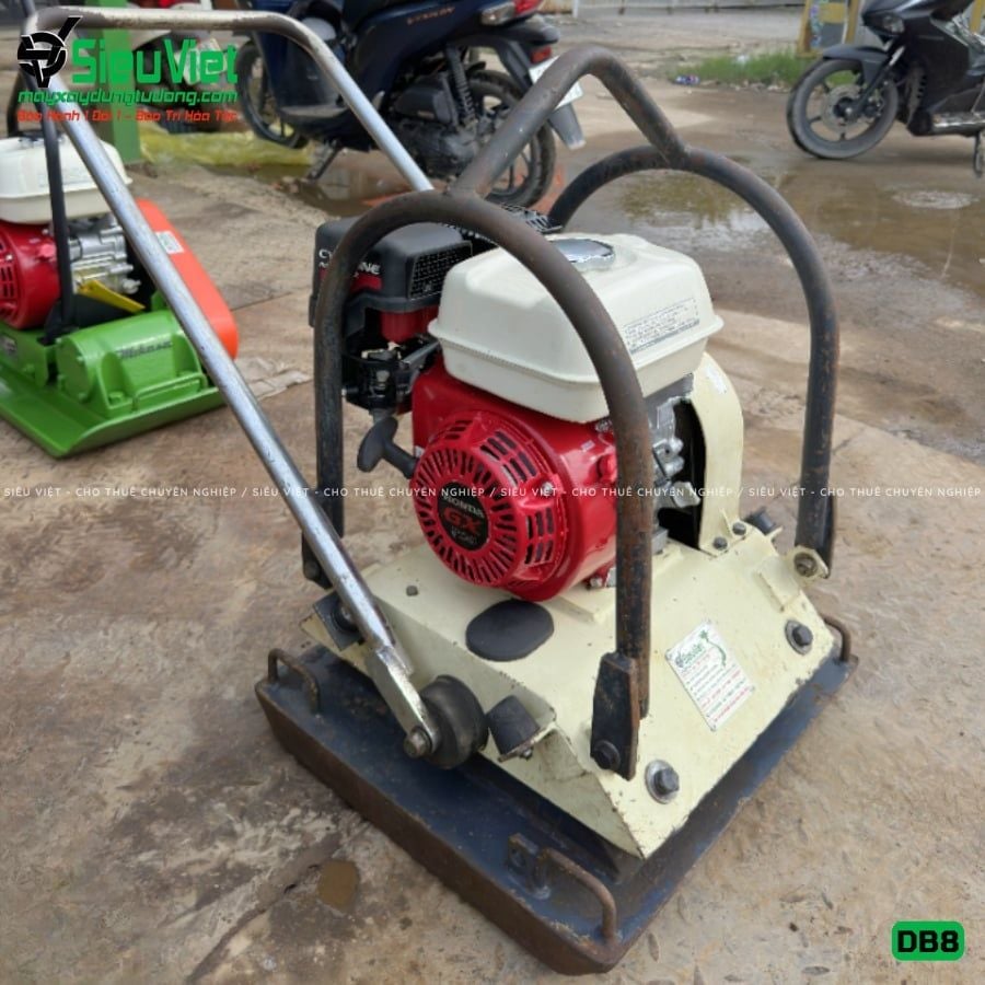 Thuê Tháng Máy đầm bàn DB8 75-100Kg (Xăng)