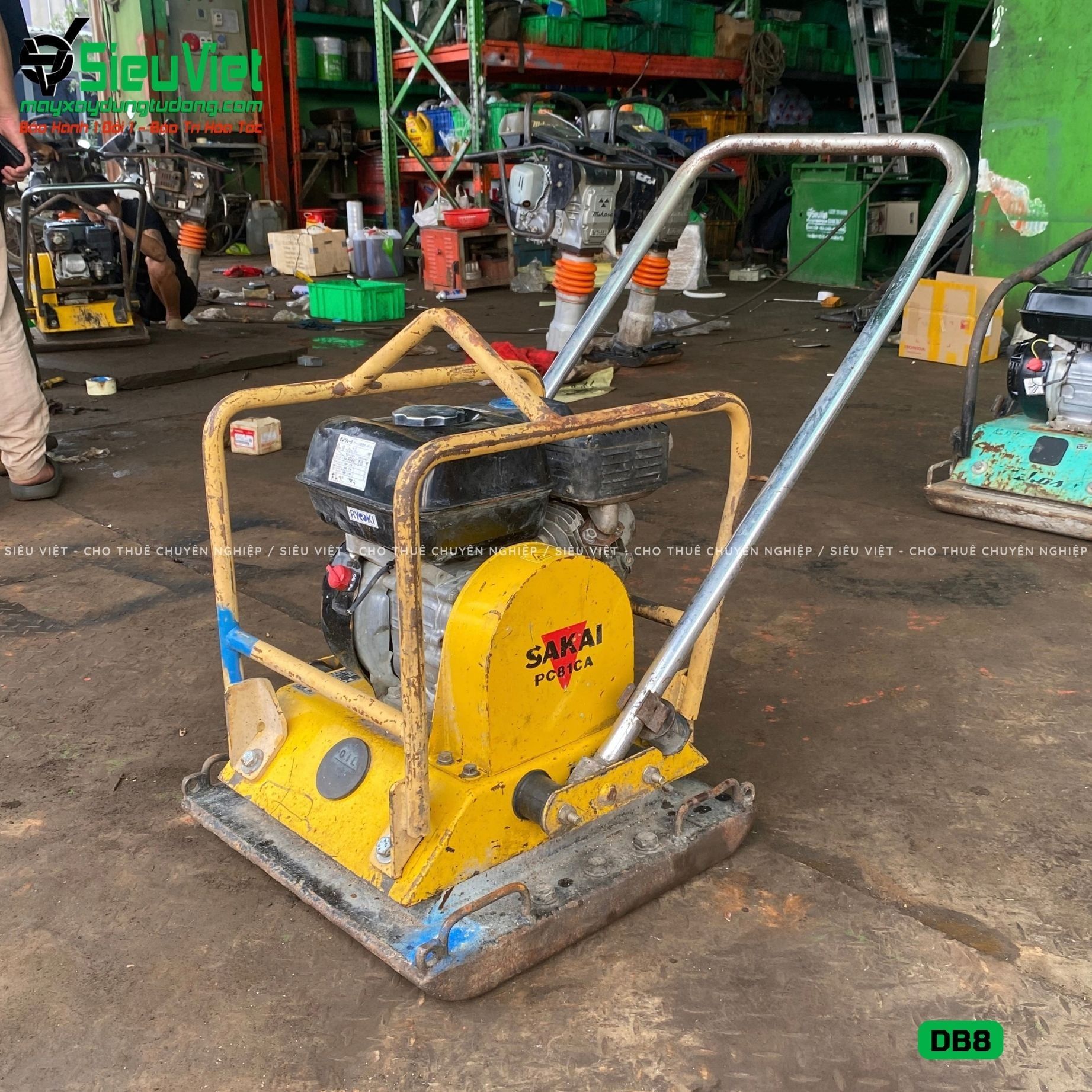 Thuê Ngày Máy đầm bàn DB8 75-100Kg (Xăng)