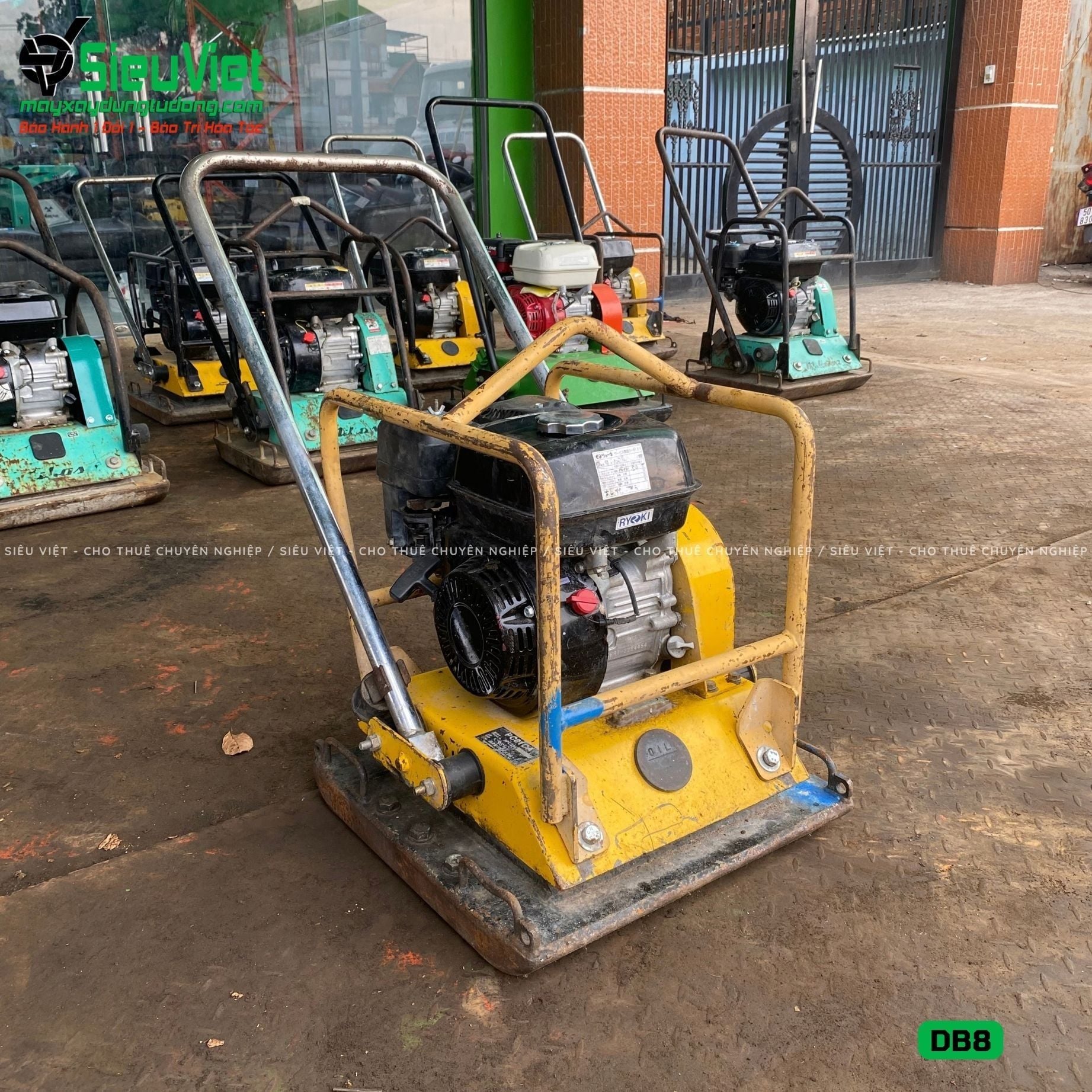 Thuê Tháng Máy đầm bàn DB8 75-100Kg (Xăng)