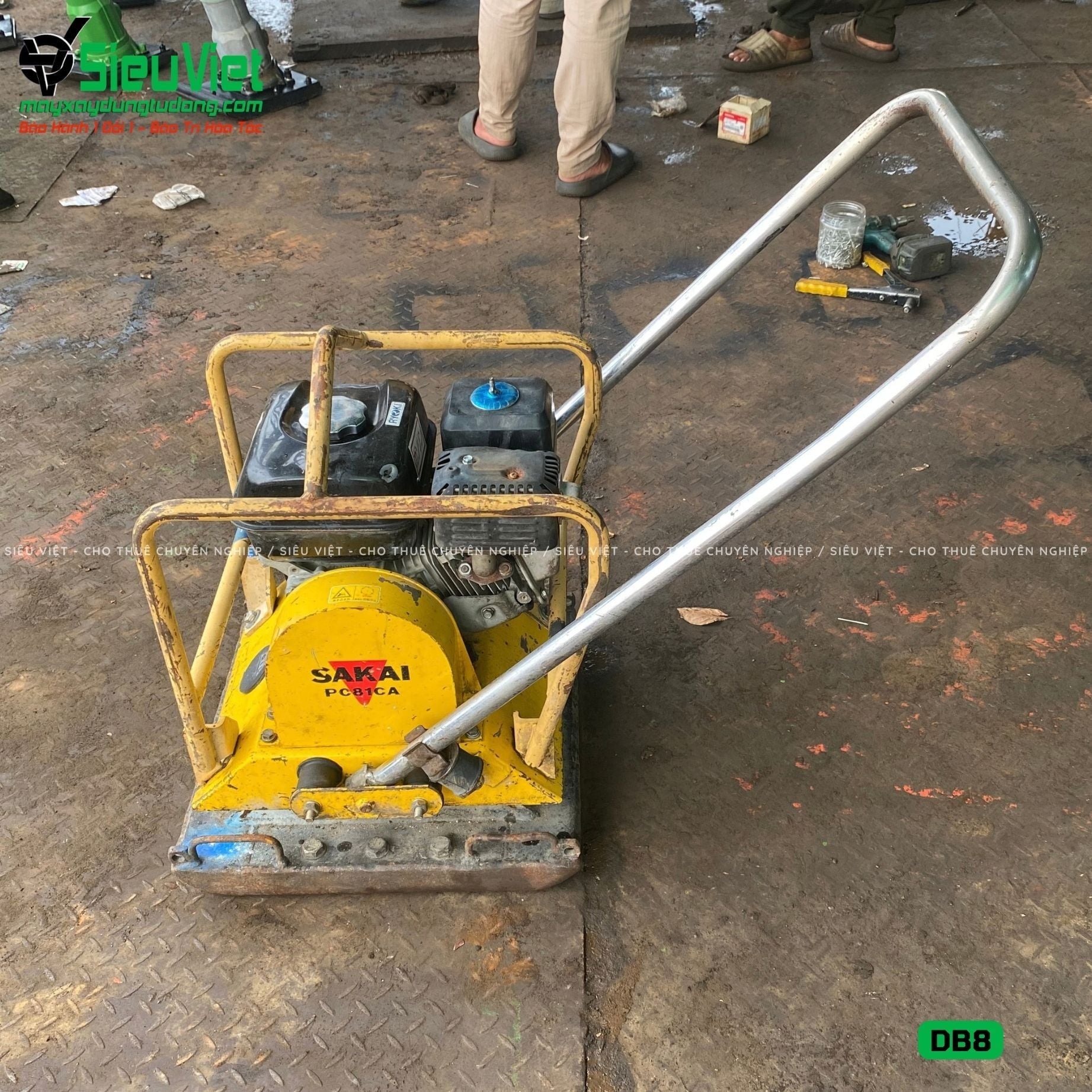 Thuê Tháng Máy đầm bàn DB8 75-100Kg (Xăng)