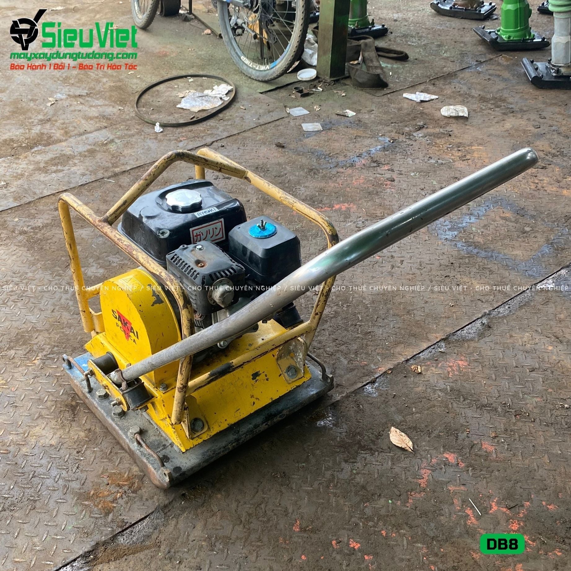Thuê Ngày Máy đầm bàn DB8 75-100Kg (Xăng)