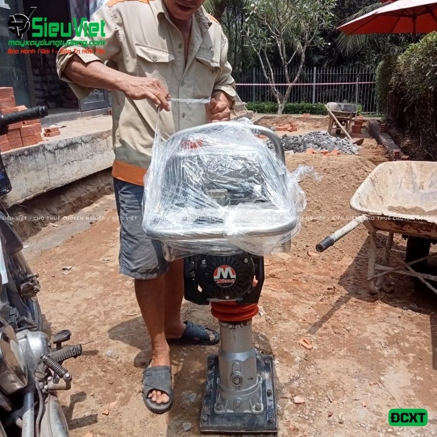 Thuê Ngày Máy đầm cóc DC6 55-65kg (Xăng)