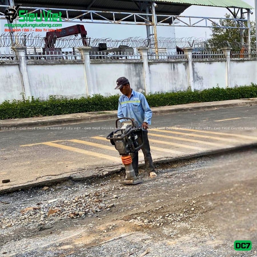 Thuê Ngày Máy đầm cóc DC7 70-80kg (Xăng)