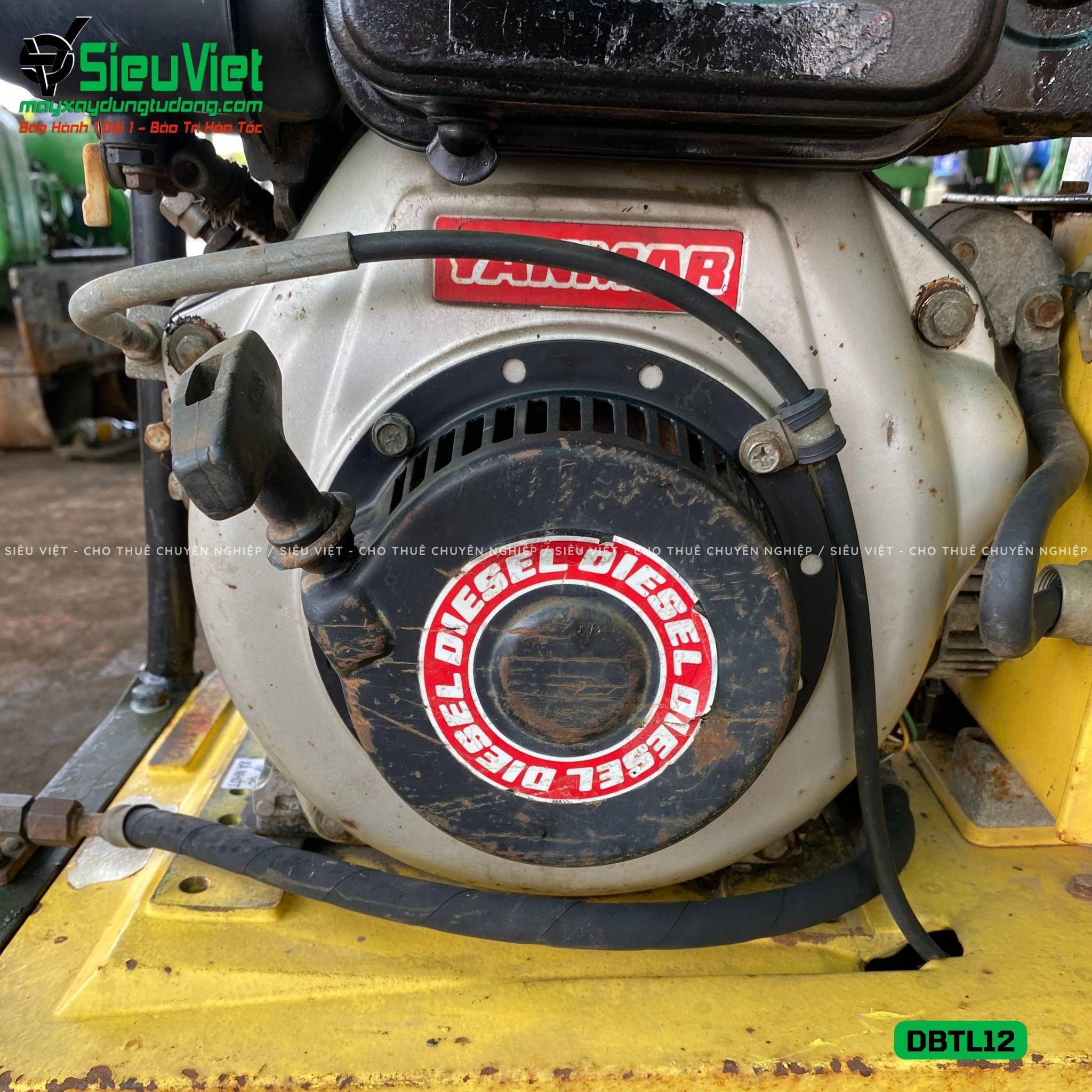 Thuê Tháng Máy đầm bàn thuỷ lực DBTL12 100-250kg (Xăng)
