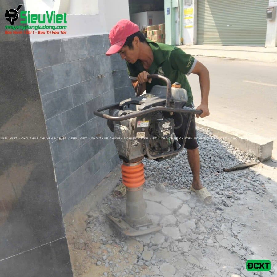 Thuê Tháng Máy đầm cóc DC6 55-65kg (Xăng)