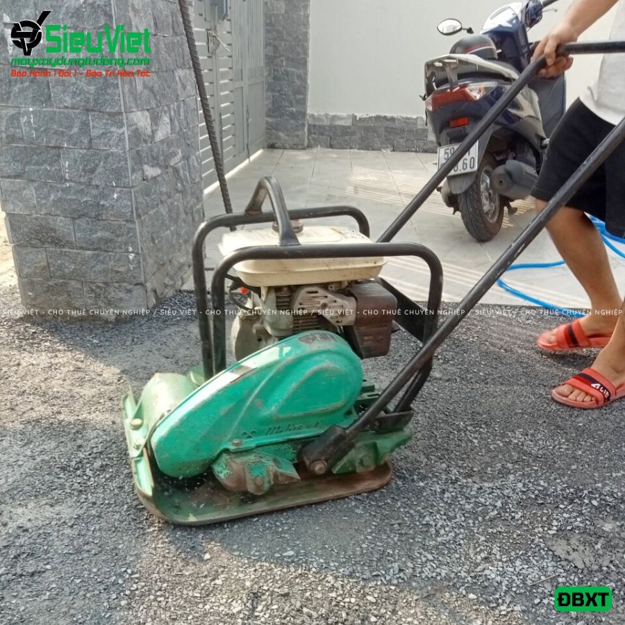 (Cho Thuê Tuần) Máy đầm bàn 50Kg - 80Kg Nhật Bản - Động cơ xăng
