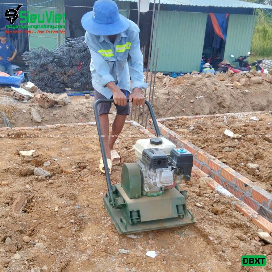 (Cho Thuê Tuần) Máy đầm bàn 50Kg - 80Kg Nhật Bản - Động cơ xăng