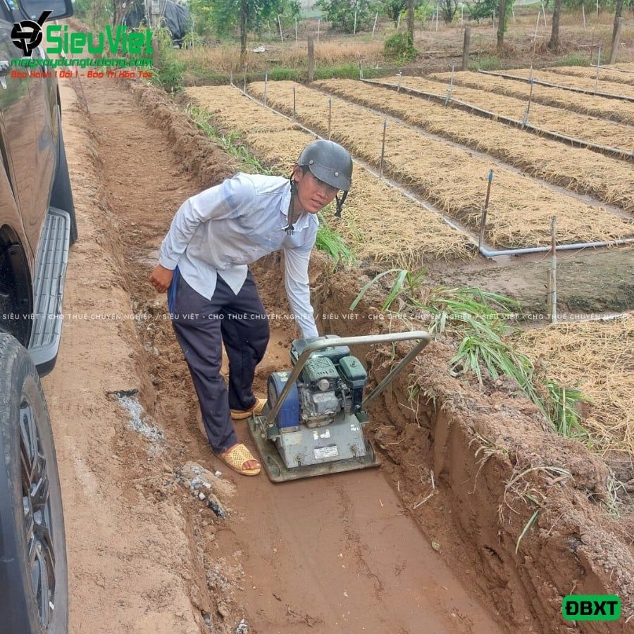 (Cho Thuê Tuần) Máy đầm bàn 50Kg - 80Kg Nhật Bản - Động cơ xăng