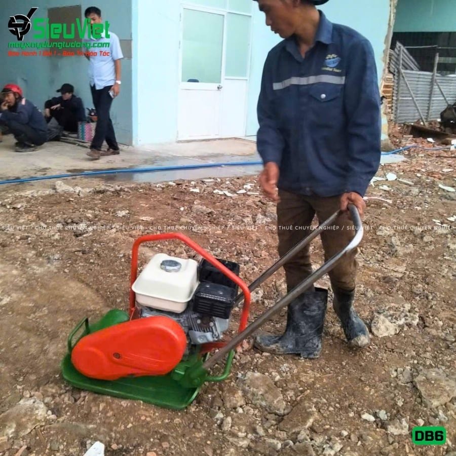 Thuê Tháng Máy đầm bàn DB6 50-70Kg (Xăng)