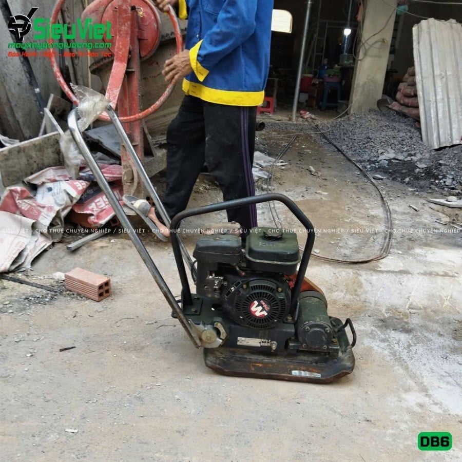 Thuê Tháng Máy đầm bàn DB6 50-70Kg (Xăng)