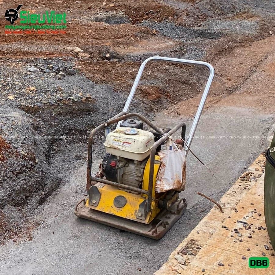 Thuê Tháng Máy đầm bàn DB6 50-70Kg (Xăng)