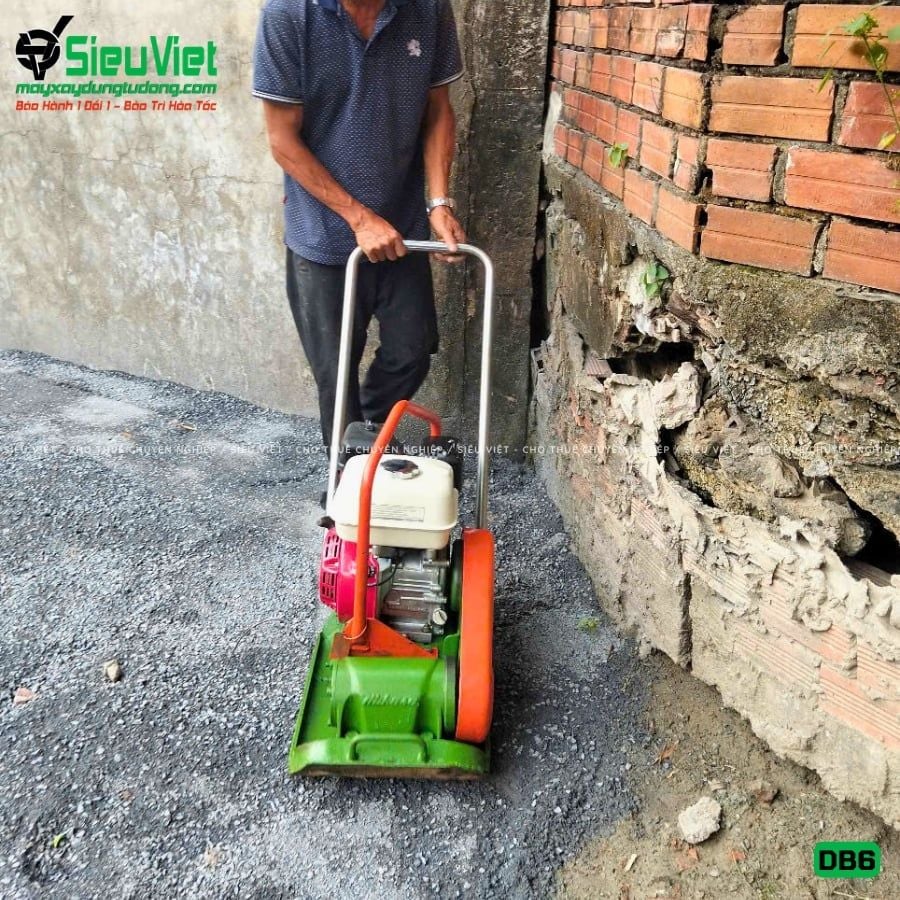 Thuê Tháng Máy đầm bàn DB6 50-70Kg (Xăng)