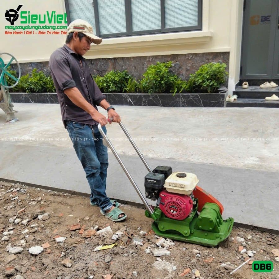 Thuê Tháng Máy đầm bàn DB6 50-70Kg (Xăng)