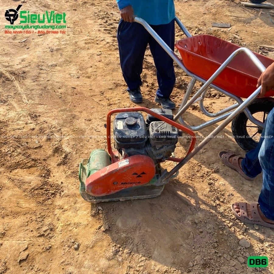 Thuê Tháng Máy đầm bàn DB6 50-70Kg (Xăng)