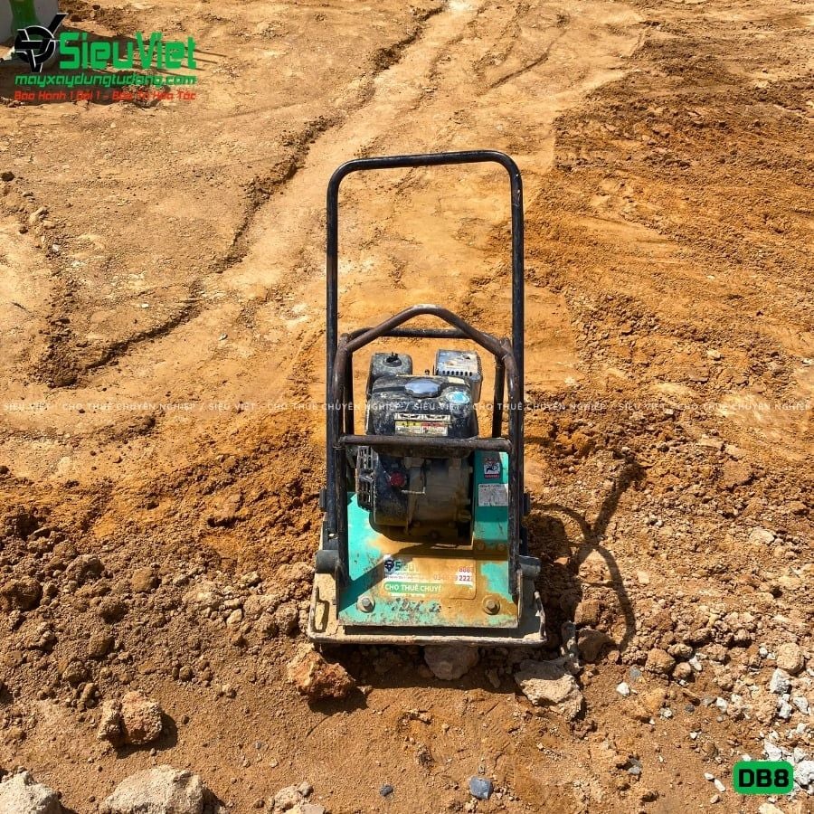 Thuê Tháng Máy đầm bàn DB8 75-100Kg (Xăng)