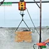 (Cho Thuê Tháng) Tời treo mini SK160
