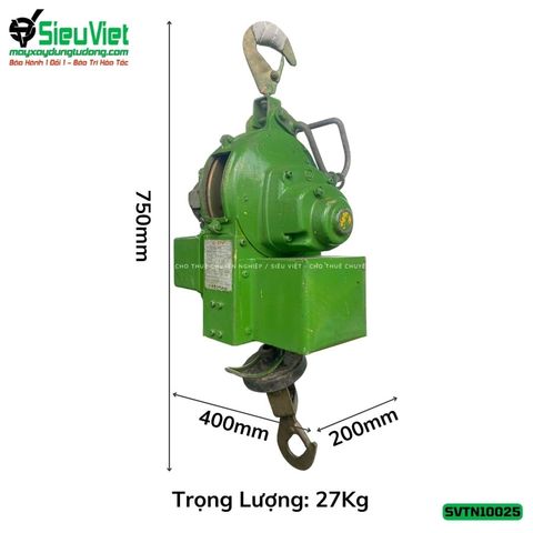 Thuê Ngày Tời treo tốc cao TN10025 Tải 100Kg Tốc 25m - Điện 220V, 1 pha
