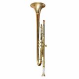  Kèn Trumpet Đồng Đỏ Mạ Vàng Carlton 