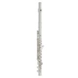  Sáo Concert Flute Yamaha YFL-222HD 
