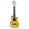  Đàn Ukulele Concert 24 Inch iSET SU-500C 