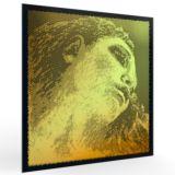  Dây Đàn Violin Evah Pirazzi Gold Pirastro 415091 