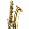  Kèn Saxophone Contrabass Benedikt Eppelsheim 