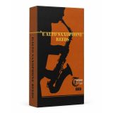  Dăm Kèn Saxophone Alto Victoria X10 