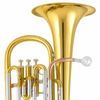  Kèn Baritone Horn Amati ABH 321 