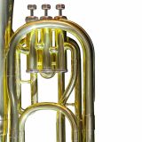  Kèn Baritone Horn Victoria VBR-568EX 