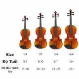  Đàn Violin Victoria VT-6868 