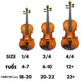  Đàn Violin Victoria DV-012B 