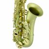 Kèn Saxophone Alto Amati AAS 33 