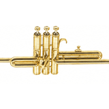  Kèn Aida Trumpet Victoria VTR-392 