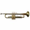  Kèn Trumpet Mạ Vàng DaVinCi 3MLV - Thanh Lý 