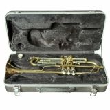  Kèn Trumpet Đồng Đỏ Mạ Vàng Carlton 