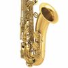  Kèn Saxophone Tenor Amati ATS 33 