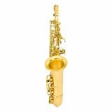  Kèn Saxophone Alto Albert Rumania 