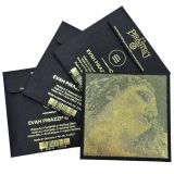  Dây Đàn Violin Evah Pirazzi Gold Pirastro 415091 