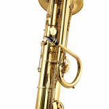  Kèn Saxophone Contrabass Benedikt Eppelsheim 