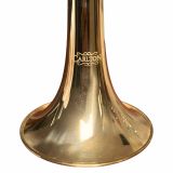  Kèn Trumpet Đồng Đỏ Mạ Vàng Carlton 