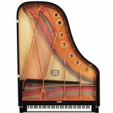  Đàn Piano Grand Cơ Yamaha GF6 