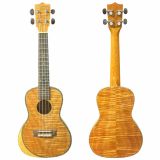  Đàn Ukulele Concert 24 Inch Gỗ Cẩm Lai Sagtino YWUK-24-0F 