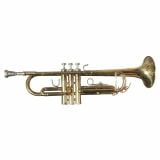  Kèn Trumpet Minerva MTR-200 Series 080071 - Thanh Lý 