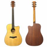  Đàn Guitar Acoustic Singkri 