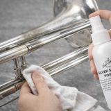  Dung Dịch Xịt Đánh Bóng Bạc Silver Sparkle Powder Perfect Fruit 60ml 